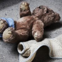 stripped teddy