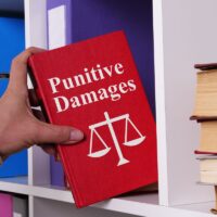 Punitive Damages are shown using a text